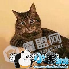 �ε�˾������˦����Ӽ۲��� �����ȸ�״�ѳƳ˿�����Ź��