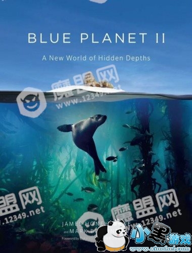 BBC��¼Ƭ�������ô����/�ļ����Ǽٵ� BBC��¼Ƭ���ԭ���ԼҲ�