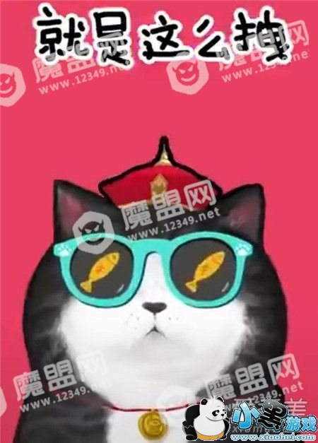 ��������������ʲô�� ���������˾�����ôק���������