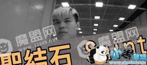 ����ʥ��ʯ��Ĳ�����ʲô��˼��������Ĳ�������ʲô�裿[��ͼ]ͼƬ1