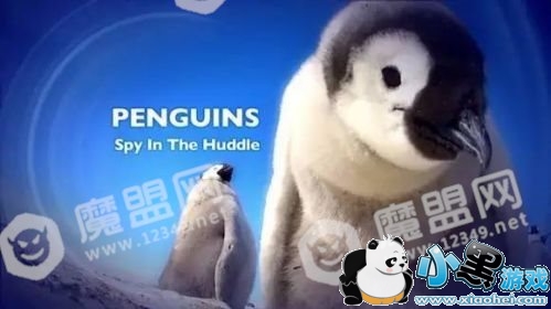 BBC��¼Ƭ�������ô����/�ļ����Ǽٵ� BBC��¼Ƭ���ԭ���ԼҲ�