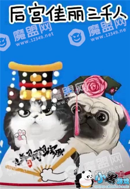 ��������������ʲô�� ���������˾�����ôק���������