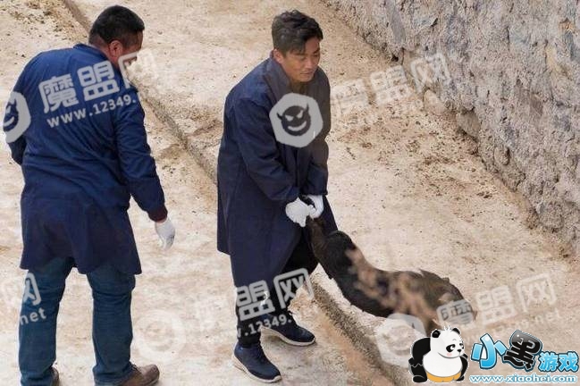 王宝强下乡抓猪