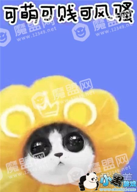 ��������������ʲô�� ���������˾�����ôק���������