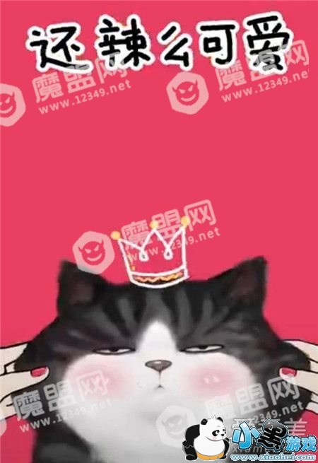 ��������������ʲô�� ���������˾�����ôק���������