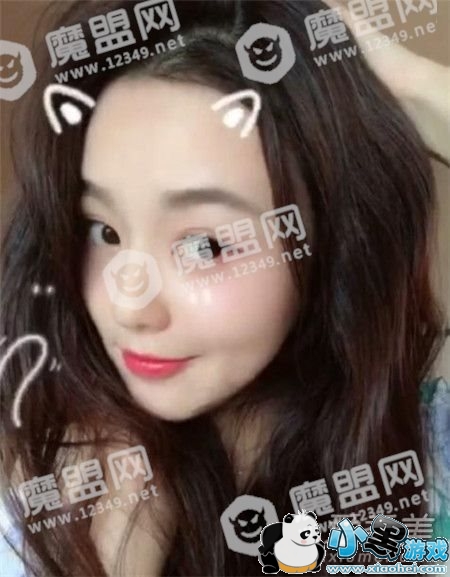 抖音我们喵星人什么歌