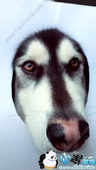 抖音believer女声音乐详情