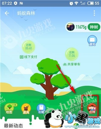 ����ɭ�ֺ��������� ����ɭ�ֺ�����ôŪ