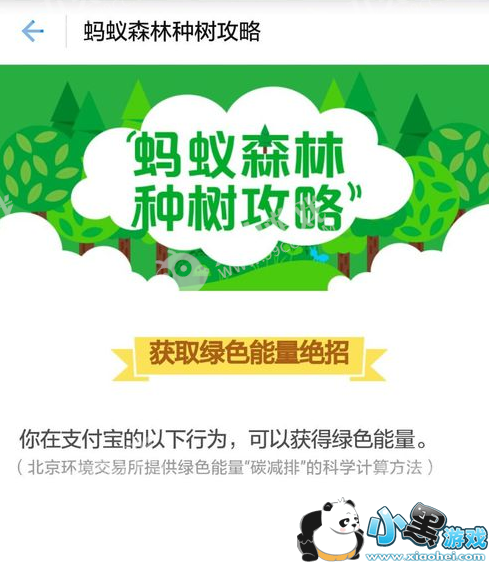 ֧����������ô��