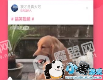 ںأںappصַ[ͼ]ͼƬ2