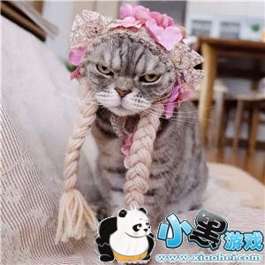 ���������è�������ȫ�����è��ͼ��ˮӡ���������ͼ9