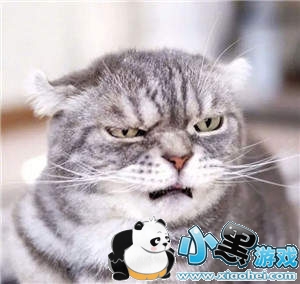 ���������è�������ȫ�����è��ͼ��ˮӡ���������ͼ4