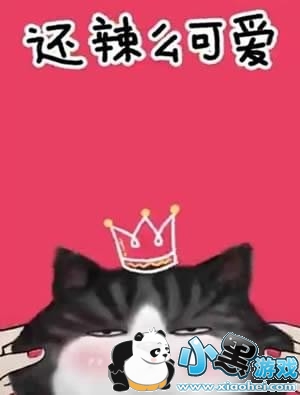 ���������˾�����ôק�����