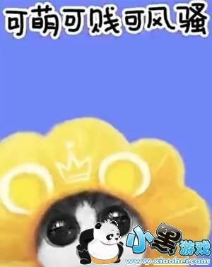 ���������˾�����ôק�������