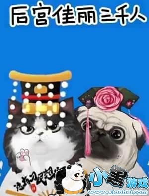 ���������˾�����ôק�����