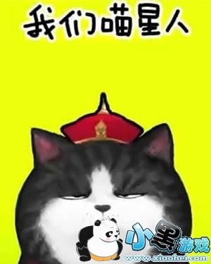 ���������˾�����ôק�������