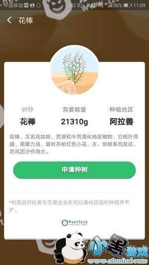 ����ɭ�ֻ�����ʲô ����ɭ�ֻ�������ô��