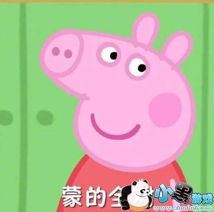 ��ǰ�ȿ�һ��С��������ʲô����