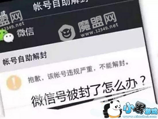 微信永久封号官方解封方法_快速解封教程说明图4