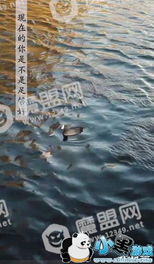 ������û���˻�������õĹ�����ʲô�衿��������Ƶ̨�ʷ���