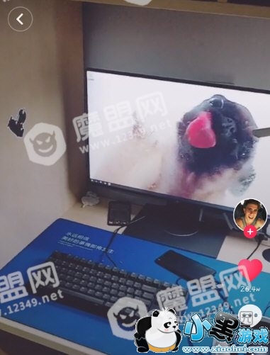 ����С��������̬��ֽ