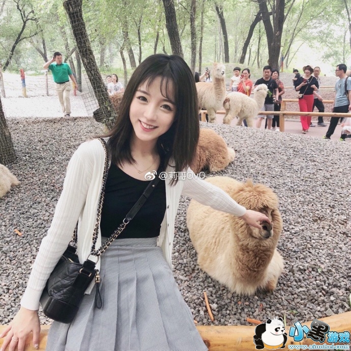 �������o3o��������