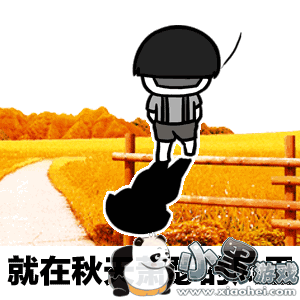 ���������������Ĺ�ȥ�ڵ�ֻ��������gif���������