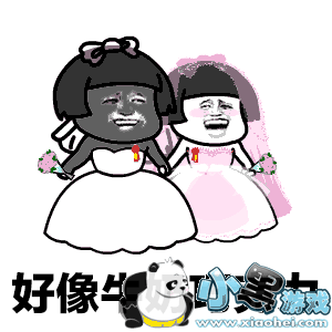 ���������������Ĺ�ȥ�ڵ�ֻ��������gif���������