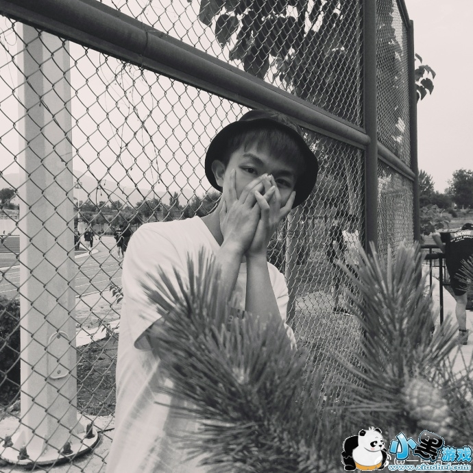 ����ܸ�����Ƭ