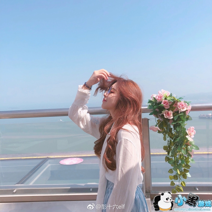 ��ʮ��elf��Ƭ