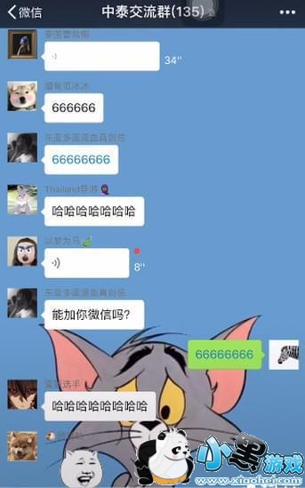 抖音微信中泰交流群是什么_抖音中泰交流群怎