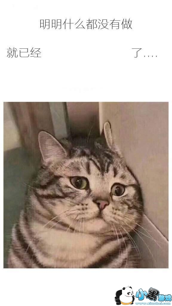 ��������ʲô��û����ֽ��ȫ