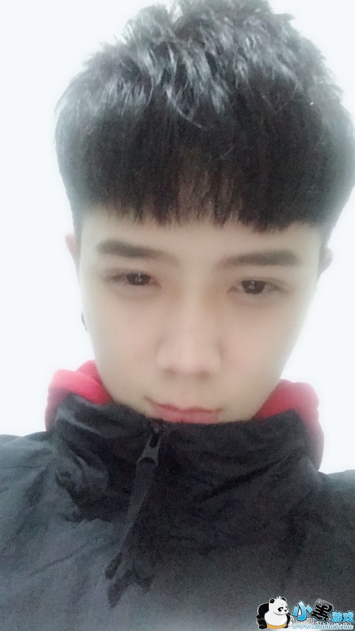 ������������Ƭ