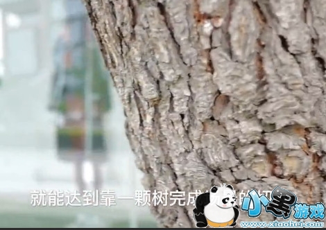 ����ǰ�����ڵ��л�������ô���㣿����ǰ�����ڵ������л�����̳�һ��