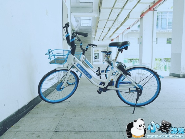 ���޻�Ӧ��ԽĦ��ofo  �û�Ϊ������Ҫ��Ѻ��ӯ��