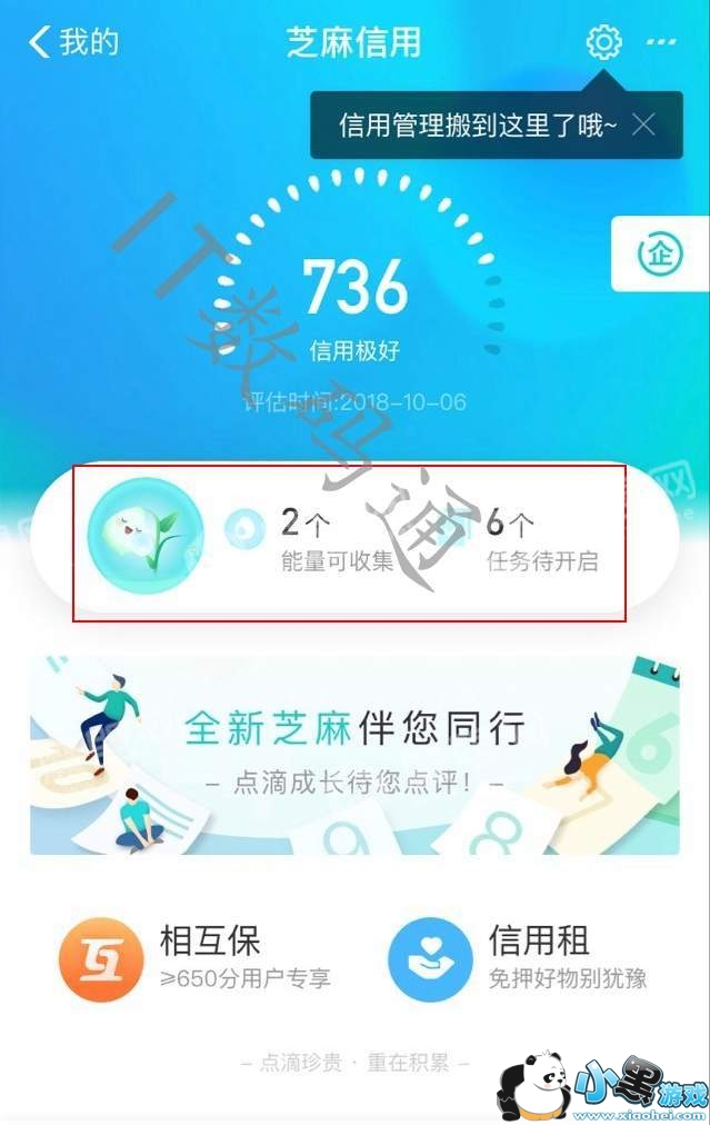 ֥������������ʲô ֧����֥�����������������