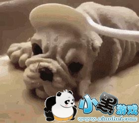 �����ڹ�����GIFͼ �ڹ�Ŀ�ɿڴ���