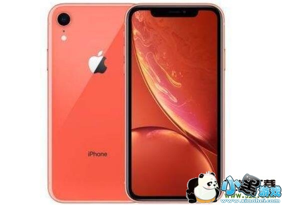 iPhone XR和iPhone8 Plus手机对比实用评测小黑游戏 iPhone XR和iPhone8 Plus选哪个好?iPhone XR和苹果8 Plus对比区别