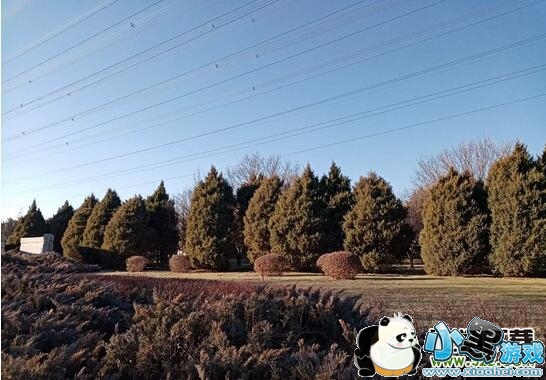 ��ҫ����8A����Ч��ʵ������С����Ϸ