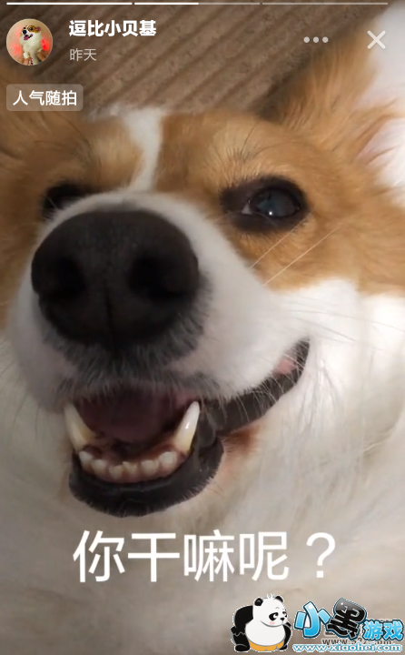 ����APP����������Ƶ�����̳�С����Ϸ