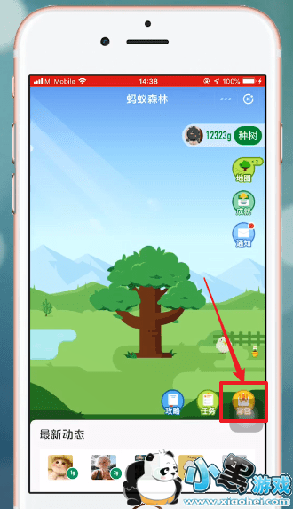 ֧����������ɭ�����ò��ñ�����ȡ�����ľ����������