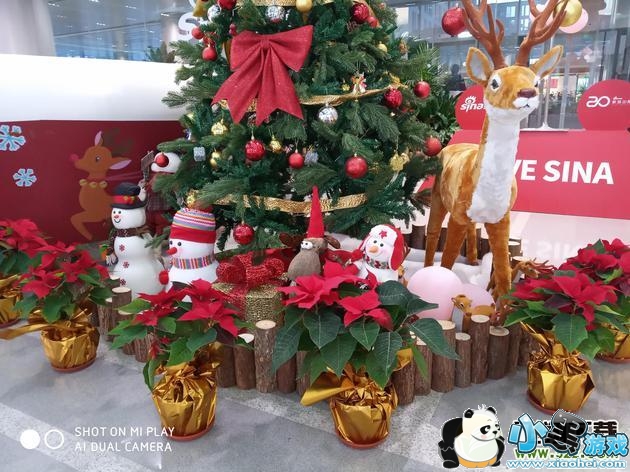 С��Play����Ч��ʵ������С����Ϸ