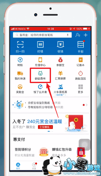 ֧����������ɭ�����ò��ñ�����ȡ�����ľ����������