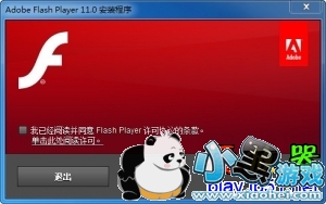 flash player ����