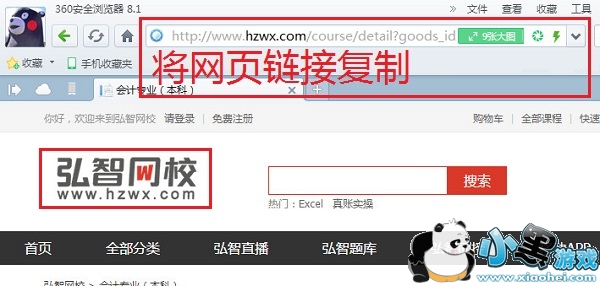 ������Уȫ����Ƶ������