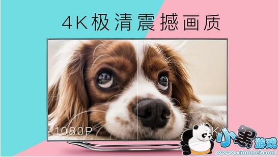 4k��԰���ܵ��Ӱ�