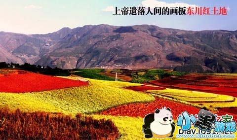 ���û���