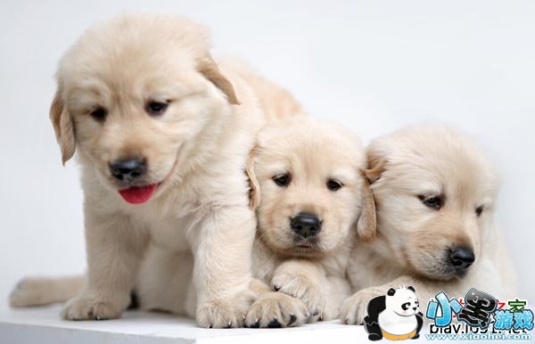 ������mp3