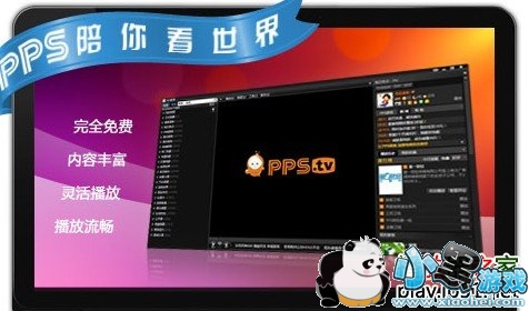 pps�������2013