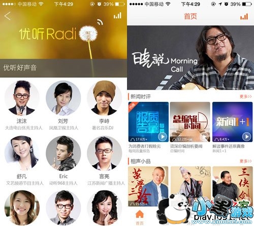 ����radio���԰�